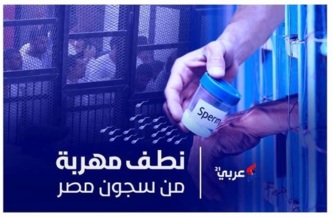 سجناء في مصر يلجأون لتهريب النطف.. على غرار أسرى فلسطين