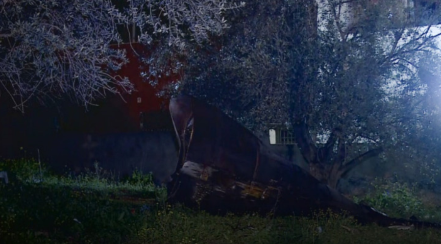 الأمن يتعامل مع سقوط شظايا جسم متفجر في منطقة أبان بمحافظة إربد