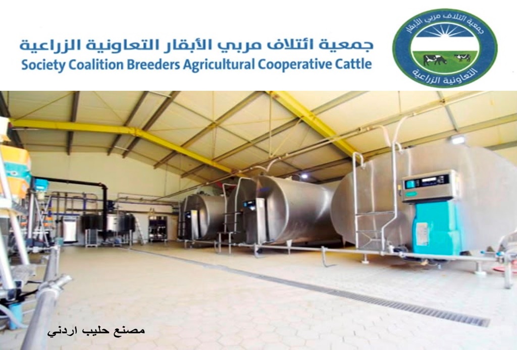 جمعية ائتلاف مربّي الأبقار: تحقيق الأردن اكتفاء ذاتيا من الحليب ومنتجاته ومعلومات غير دقيقة بـ